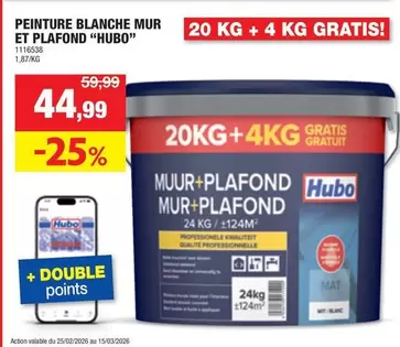 PEINTURE BLANCHE MUR ET PLAFOND