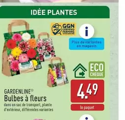 De - Bulbes à fleurs