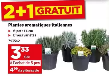 De - Plantes aromatiques italiennes