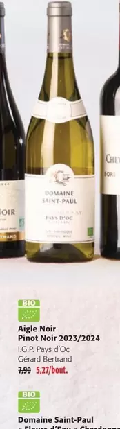 Pinot Noir 2023/2024