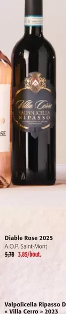 Villa - Diable Rose 2023