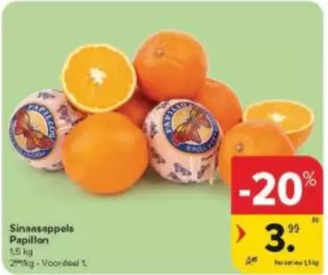 Papillon - Sinaasappels