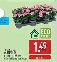 Anjers