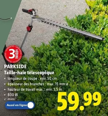 De - Taille-haie télescopique