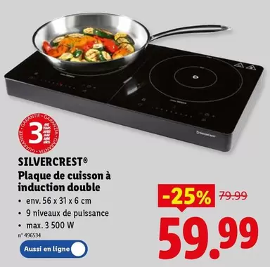 De - Plaque de cuisson à induction double