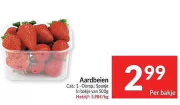 Cat - Aardbeien