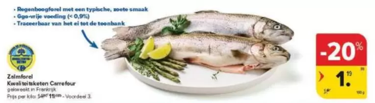 De - Zalmtrout
