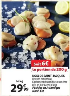 De - NOIX DE SAINT-JACQUES (Pecten maximus)