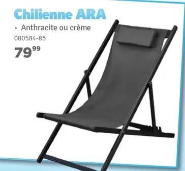 Chilienne ARA 080584-85