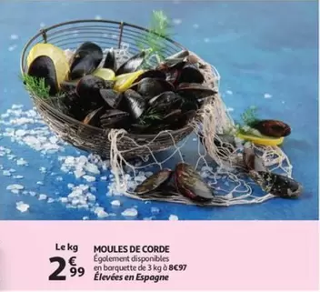 De - MOULES DE CORDE