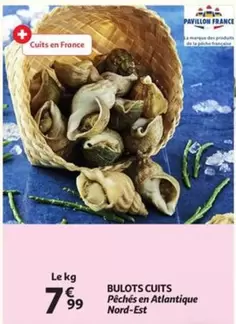 De - BULOTS CUITS Pêchés en Atlantique Nord-Est