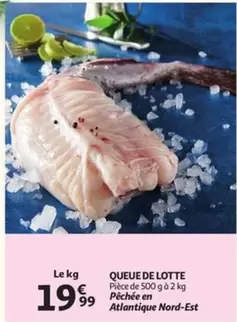 De - QUEUE DE LOTTE