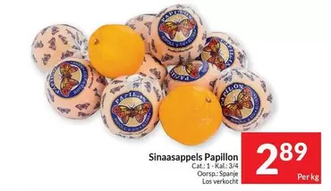Papillon - Sinaasappels