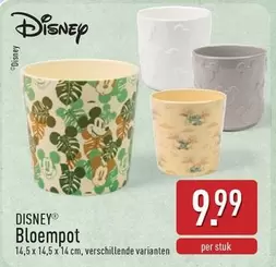 Disney - Bloempot