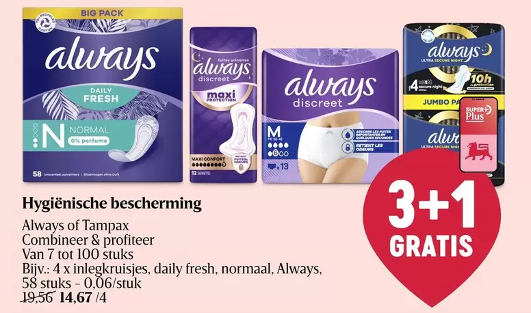 Large - Hygiënische bescherming