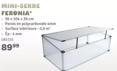 MINI-SERRE FERONIA*