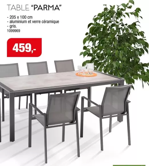 TABLE "PARMA"