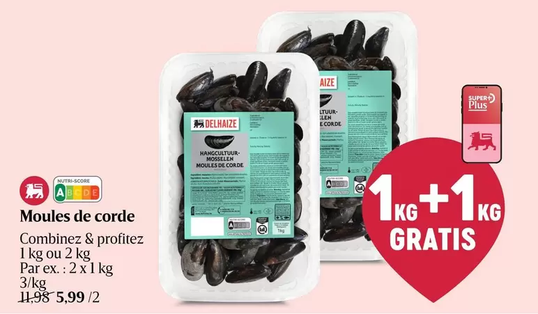 De - Moules de corde