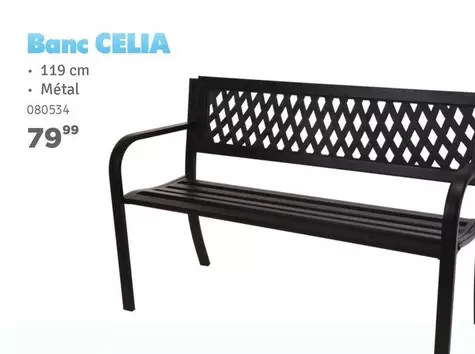 Banc CELIA 080534