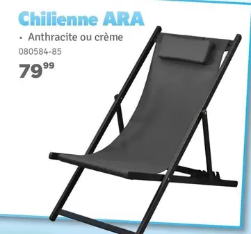 Chilienne ARA 080584-85