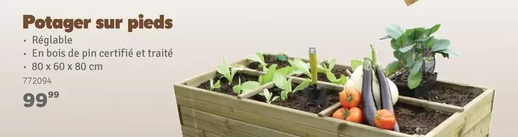 De - Potager sur pieds