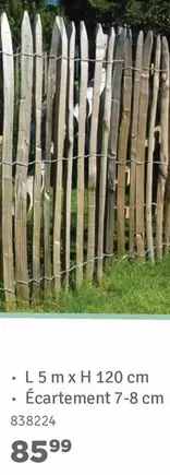Wooden fence