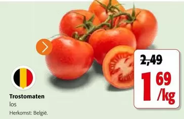 Trosttomaten