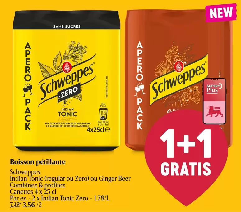 Indian -  Tonic (regular or Zero) or Ginger Beer