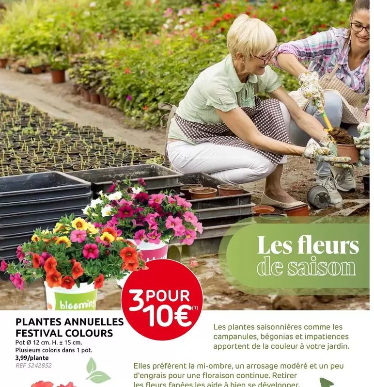 De - Plantes Annuelles Festival Colours