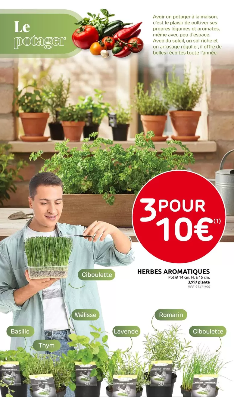 De - Herbes aromatiques