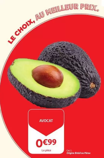 Cat - Avocat