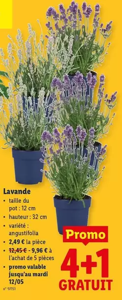 De - Lavande