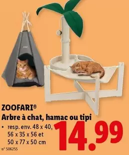Arbre à chat, hamac ou tipi