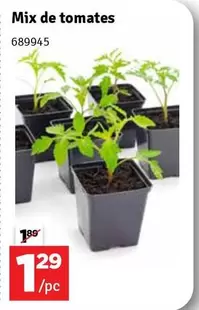 Mix -  de tomates 689945