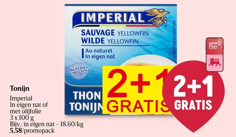 Tonijn Wilde Yellowfin