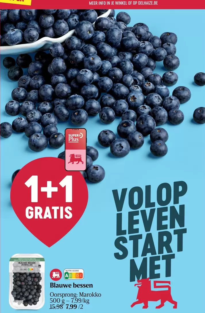 Blauwe bessen