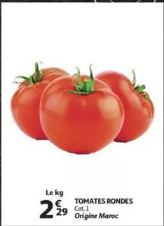 Cat - TOMATES RONDES .1