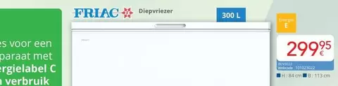 Diepvriezer 300 L