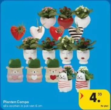 Planten Compo
