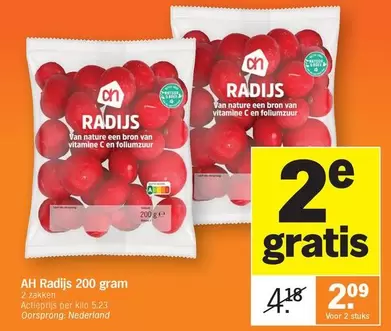 Radijs