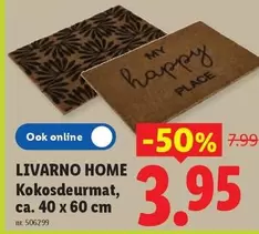 Kokosdeurmat, ca. 40 x 60 cm