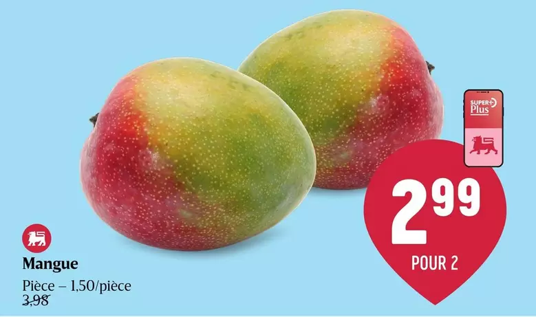 Mangue