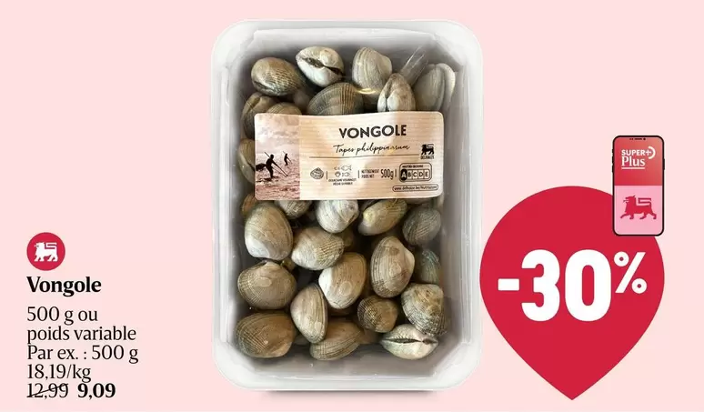 Vongole