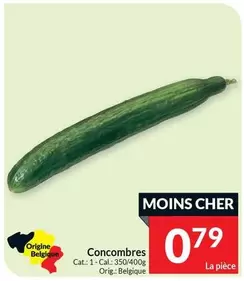 Cat - Concombres