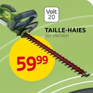 TAILLE-HAIES REF 10075831