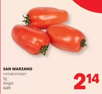 San Marzano romatomaten