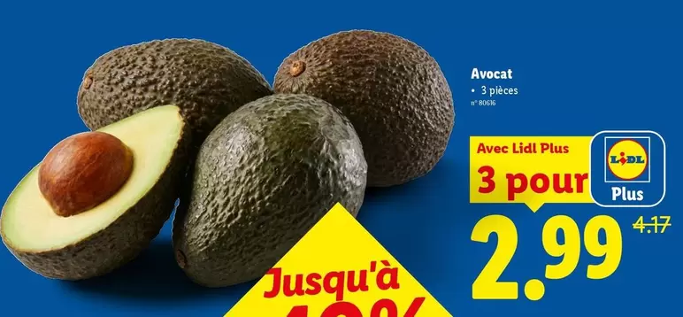 Avocat