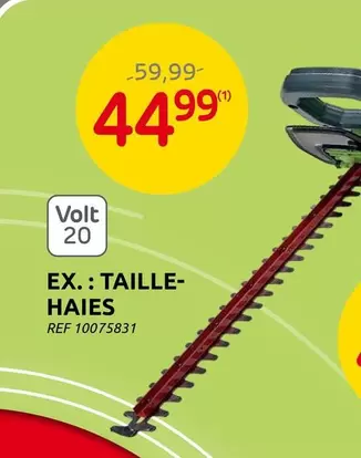 TAILLE-HAIES REF 10075831