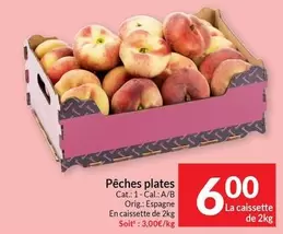Cat - Pêches plates