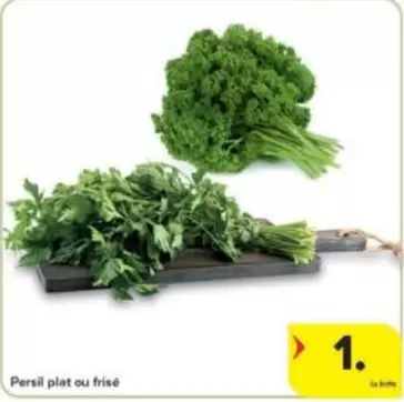 Persil plat ou frisé